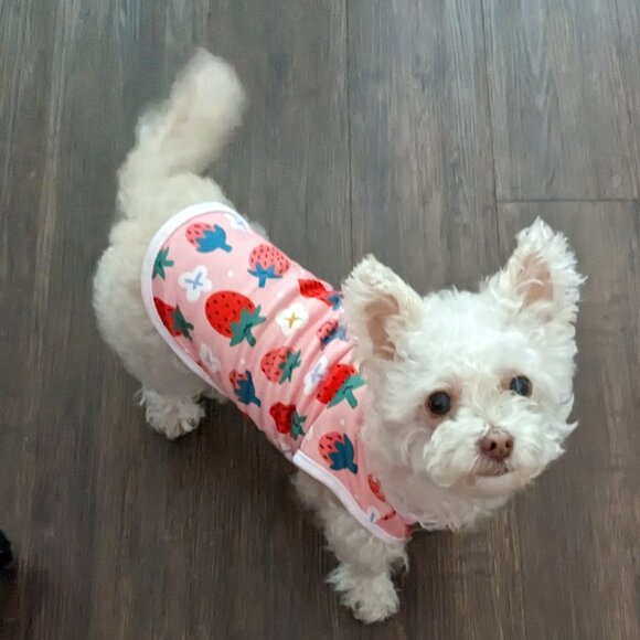 Meet your Posher, Sara - Picture 6 of 6